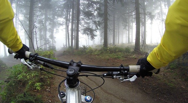 Sportbrillen